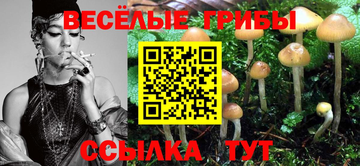 Галлюциногенные грибы мицелий Электросталь