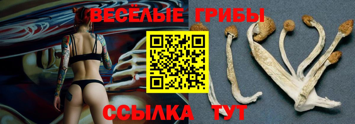 Галлюциногенные грибы прущие грибы  Вход с VPN  Электросталь 